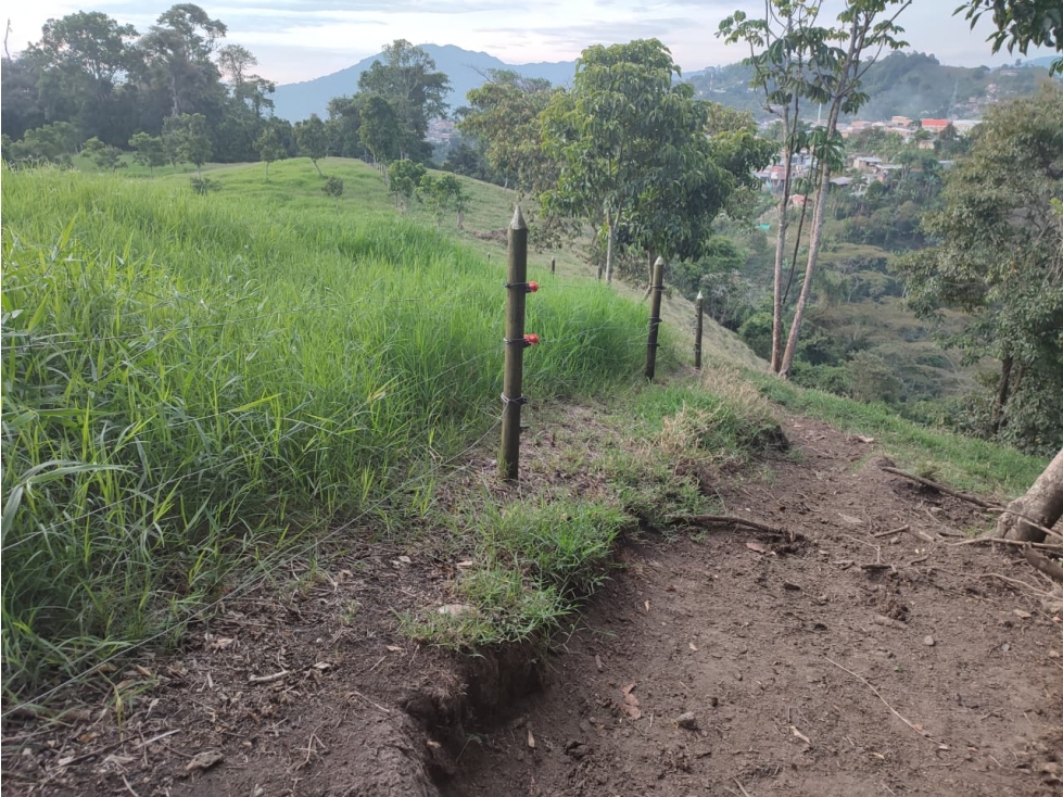 VENDO FINCA GANADERA SECTOR MUNDO NUEVO — foto 3