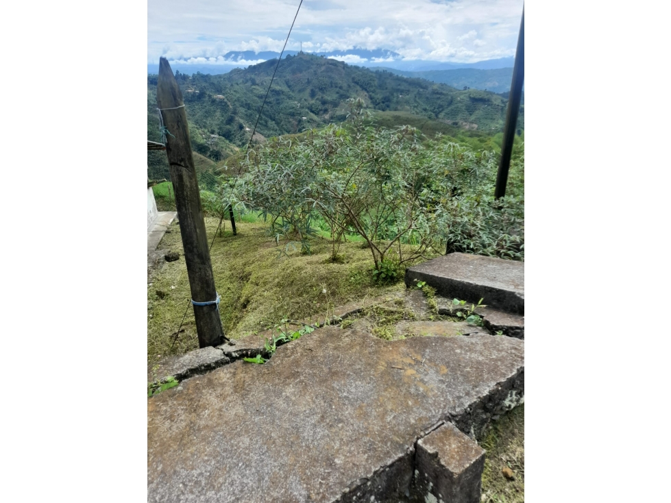 VENDO FINCA GANADERA VIA PEREIRA MARSELLA — foto 3