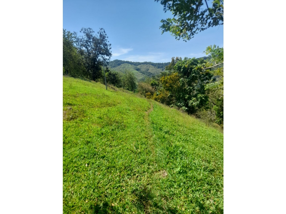 VENDO FINCA GANADERA A 20 MINUTOS DE COMBIA — foto 3