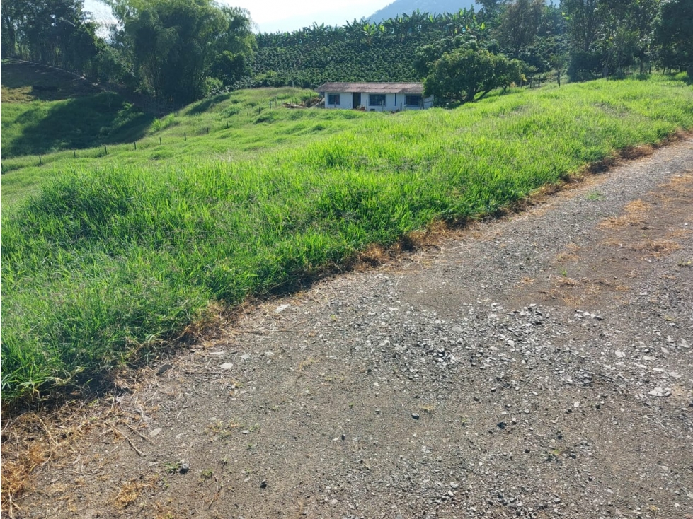 VENDO FINCA GANADERA SECTOR MUNDO NUEVO — foto 4