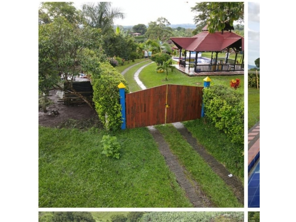 VENDO FINCA ALCALA VALLE — foto 4