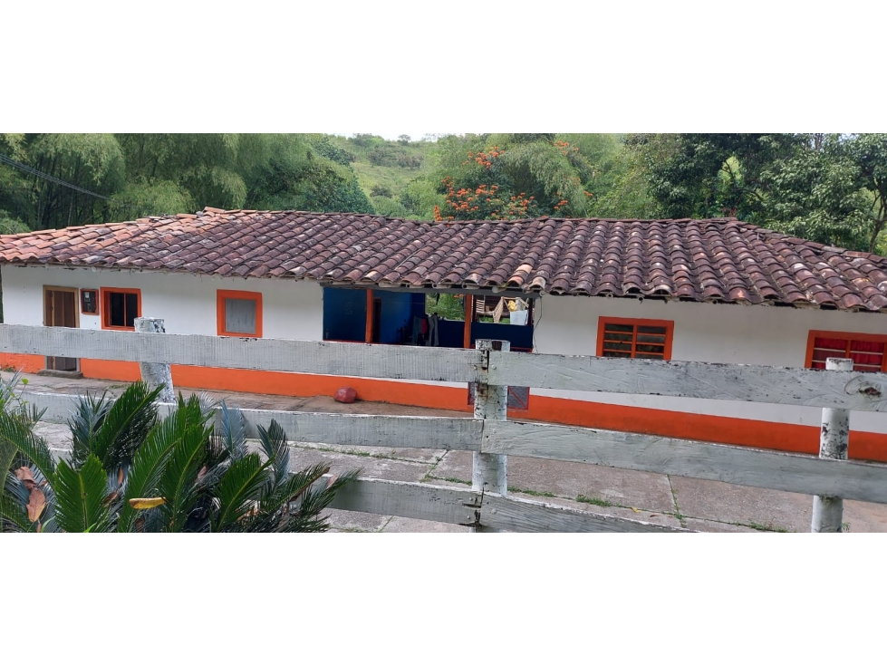 VENDO FINCA GANADERA 50 CUADRAS SECTOR LA VIRGINIA - 5