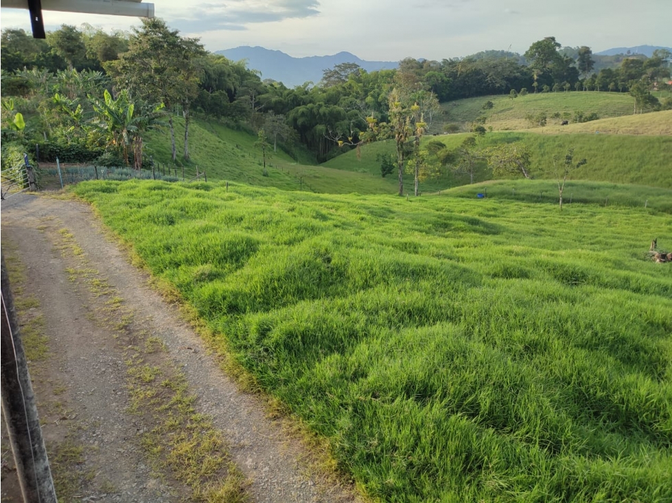 VENDO FINCA GANADERA SECTOR MUNDO NUEVO — foto 6