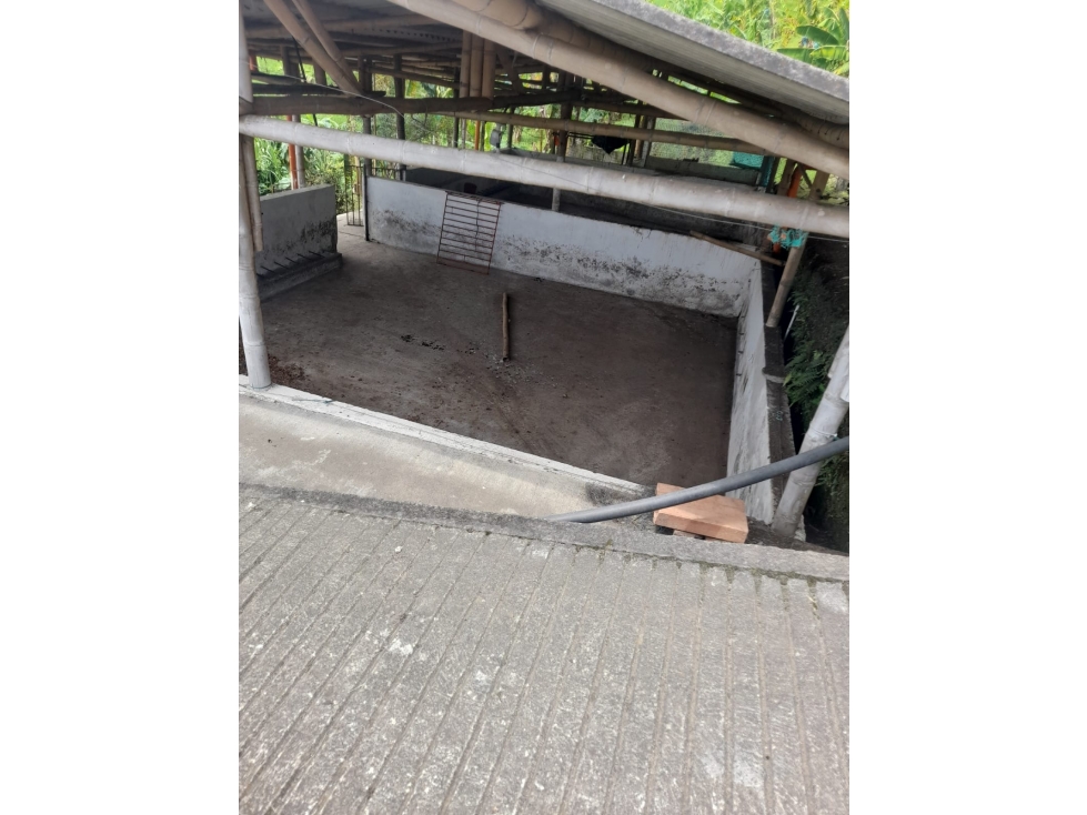 VENDO FINCA GANADERA VIA PEREIRA MARSELLA — foto 6