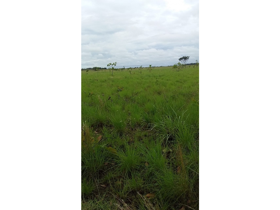 VENDO FINCA GANADERA A 20 MINUTOS DE COMBIA — foto 6