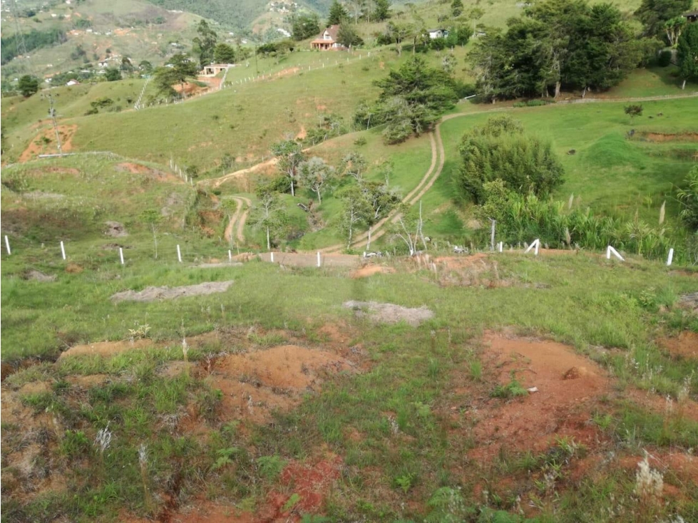 SE VENDE LOTE EN CONDOMINIO CAMPESTRE EN TOCOTA - 6