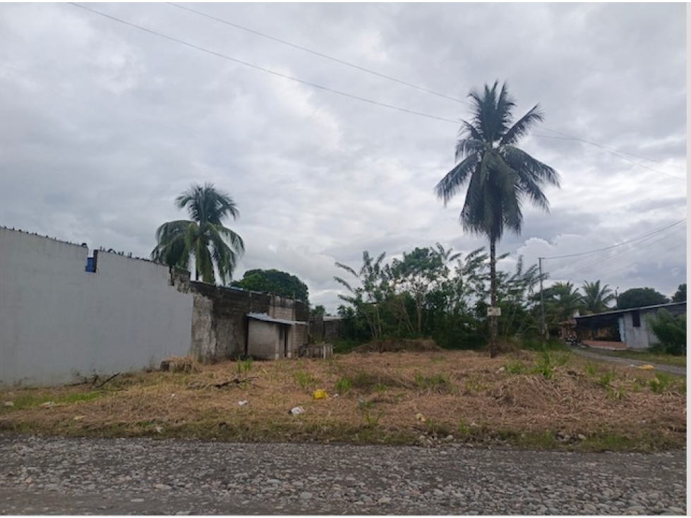 Imbabura ,Pimampiro Terreno de venta 180.40m2 - 3