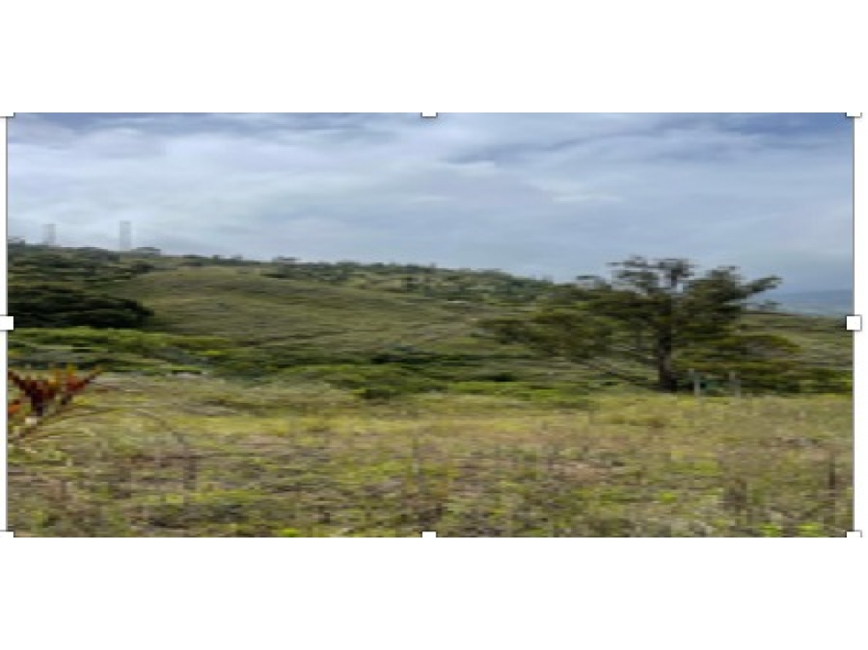 Loja ,parroquia Taquil Terreno en Venta, 5441 m2 Esquinero - 3