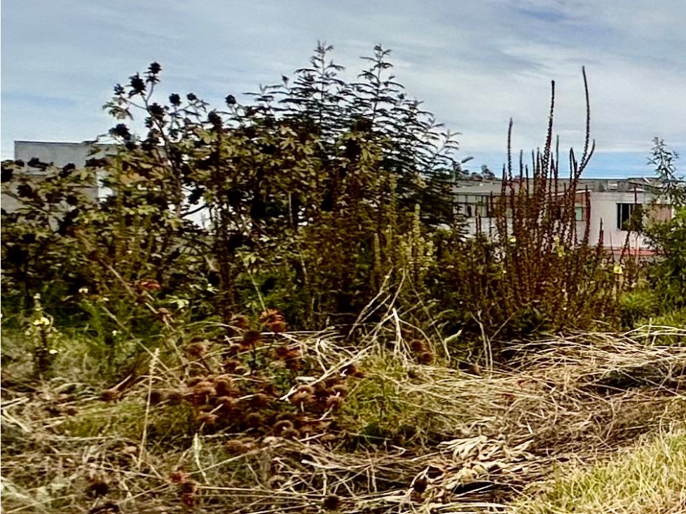 Calderón Marianitas , De Oportunidad Terreno en Venta, 667m2 - 3