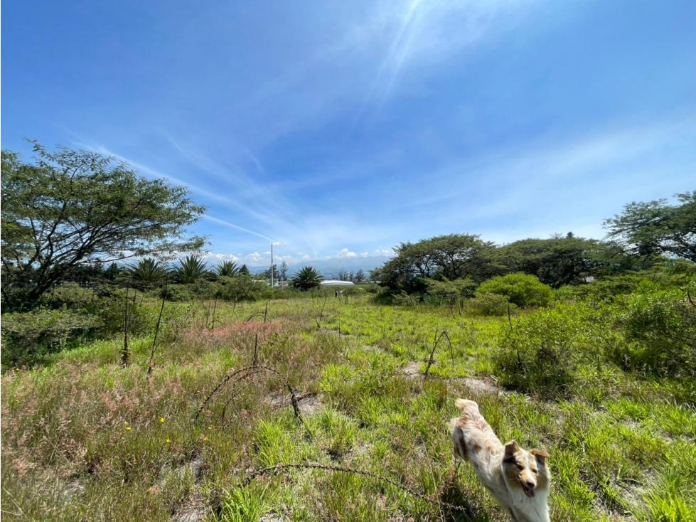 Puembo, Terreno en Venta, 1266,40m2 - 2