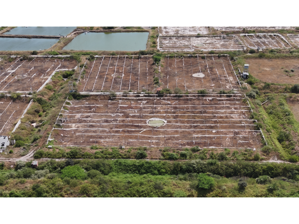 Huaquillas, El Oro, Venta terreno para camaronera 48.258 m2 5 piscinas - 2