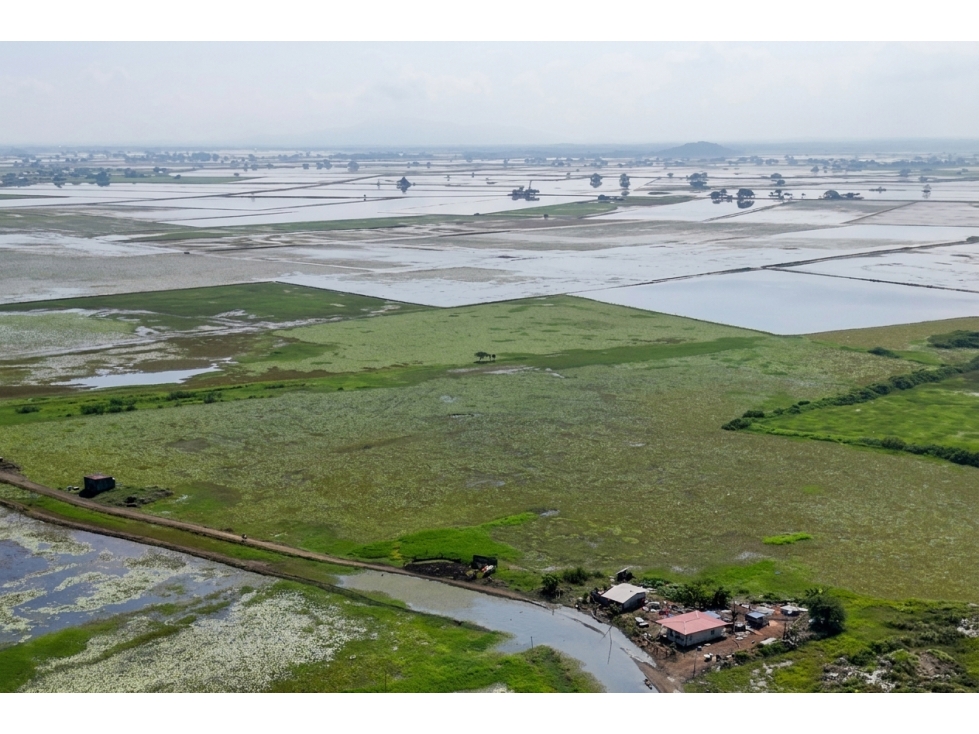 Samborondón, Guayas, Venta terreno agro industrial de 45.101 m2