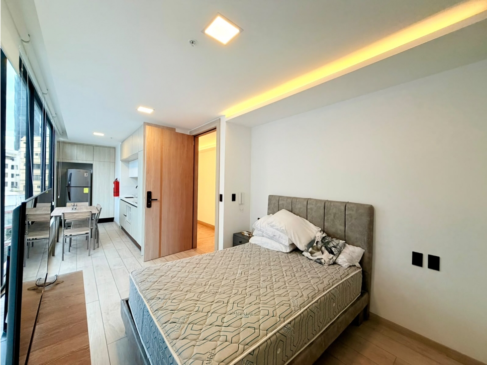 Republica De El Salvador, Estudio en Renta, 30m2, 1 Habitación