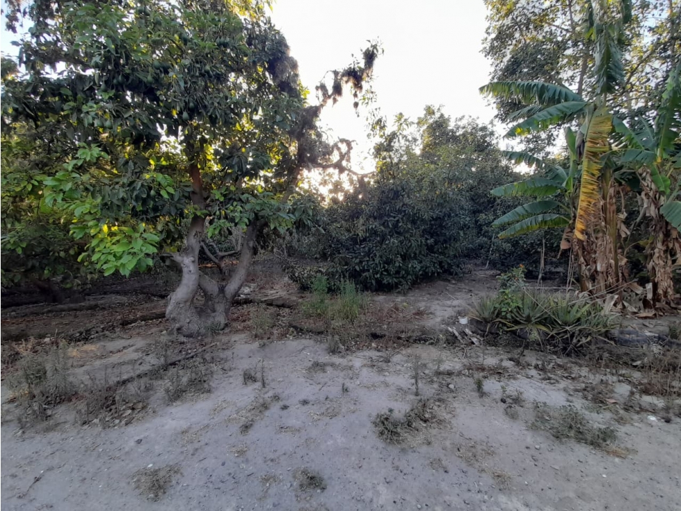 Guayllabamba, Terreno de 2 Hectareas, 20000m2 - 1
