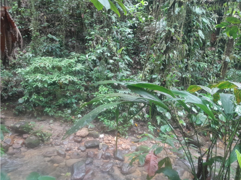 Lago Agrio Araza Terreno en Venta, 1100m2 - 3