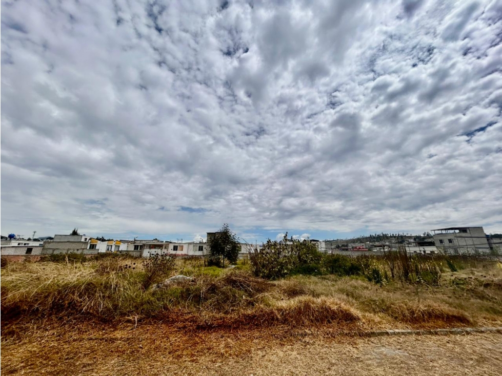 Calderón cerca al Coral, De Oportunidad Terreno en Venta, 2525,24m2