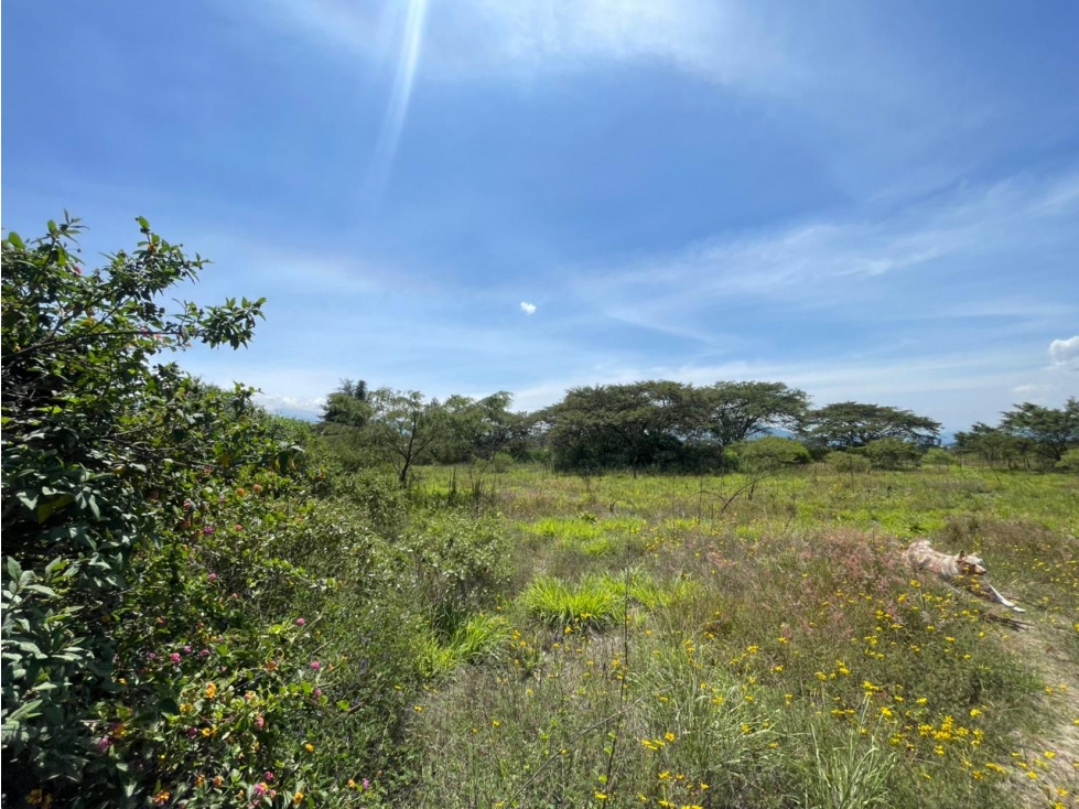 Puembo, Terreno en Venta, 1266,40m2