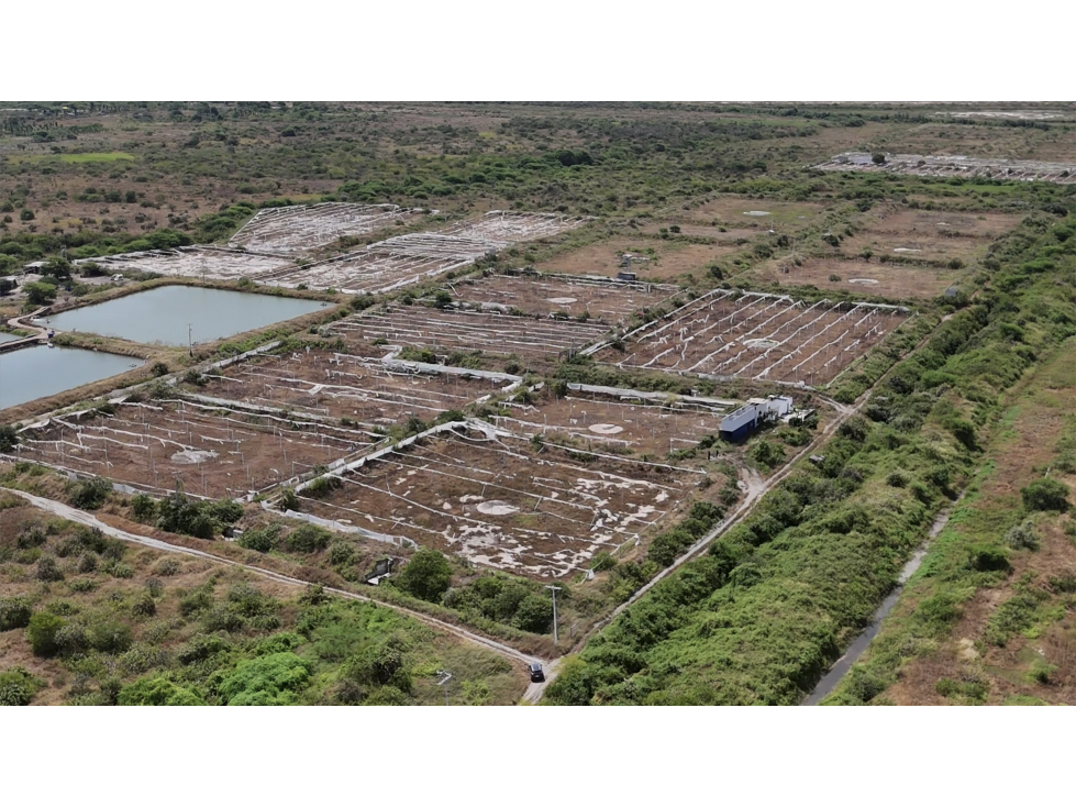 Huaquillas, El Oro, Venta terreno para camaronera 48.258 m2 5 piscinas - 3