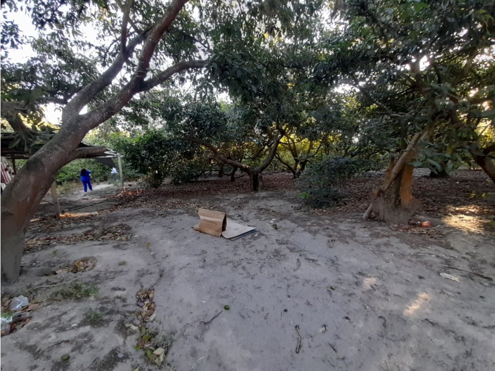 Guayllabamba, Terreno de 2 Hectareas, 20000m2 - 2