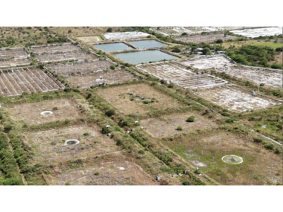 Huaquillas, El Oro, Venta terreno para camaronera 48.258 m2 5 piscinas - 4
