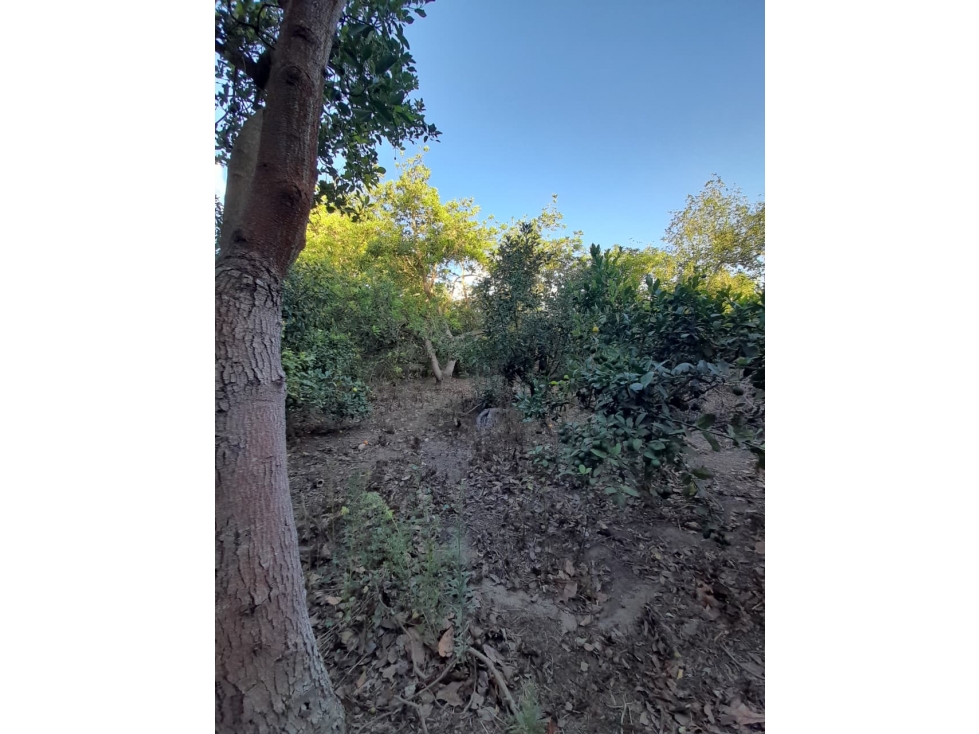 Guayllabamba, Terreno de 2 Hectareas, 20000m2 - 3