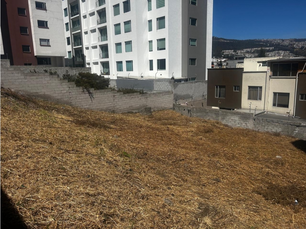 Ponceano,Terreno en venta 460m2 - 3