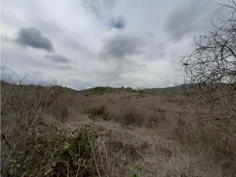 Portoviejo Montecristi, Terreno en Venta, 90 Hectáreas - 5