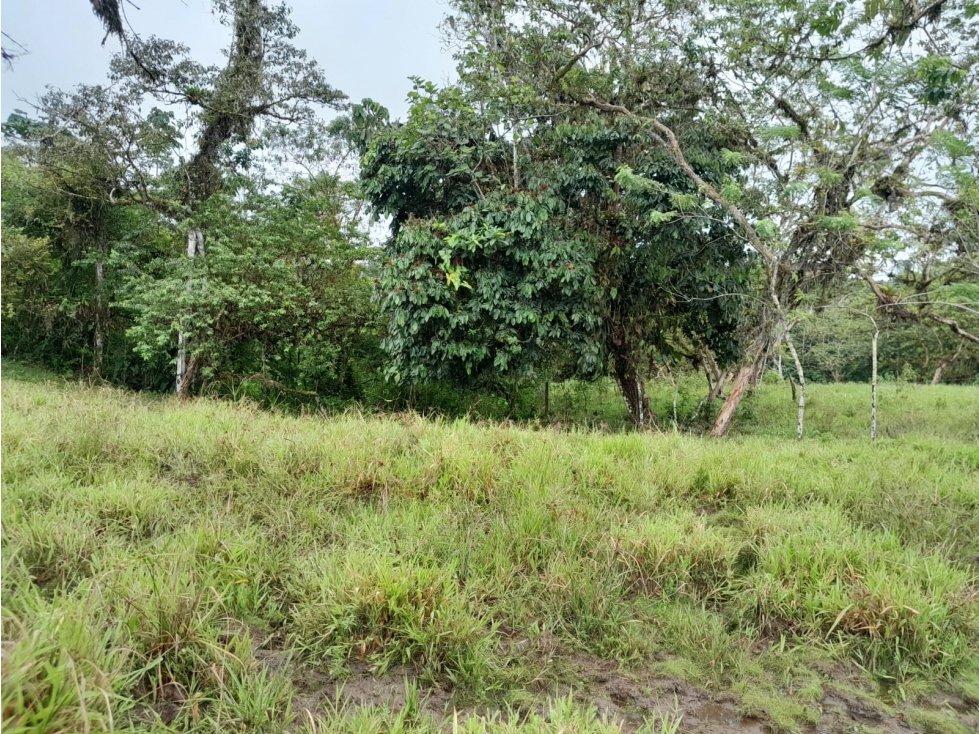 Lago Agrio Araza Terreno en Venta, 1100m2 - 4