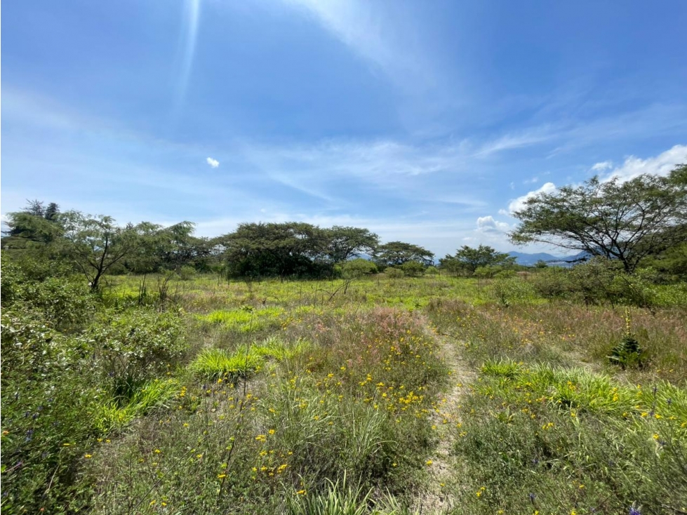Puembo, Terreno en Venta, 1266,40m2 - 3