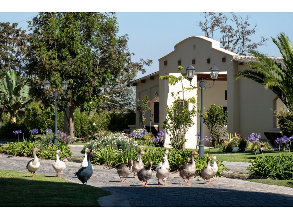 Checa, Pakakuna Gardens Terreno en Venta, 1.142,14m2 — foto 6