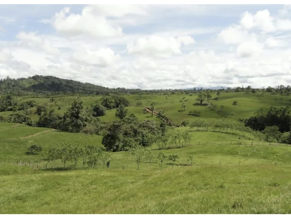 Pedro Vicente Maldonado lotes de terreno de 10.000 metros - 4