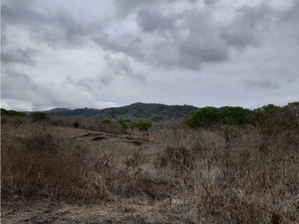 Portoviejo Montecristi, Terreno en Venta, 90 Hectáreas - 6