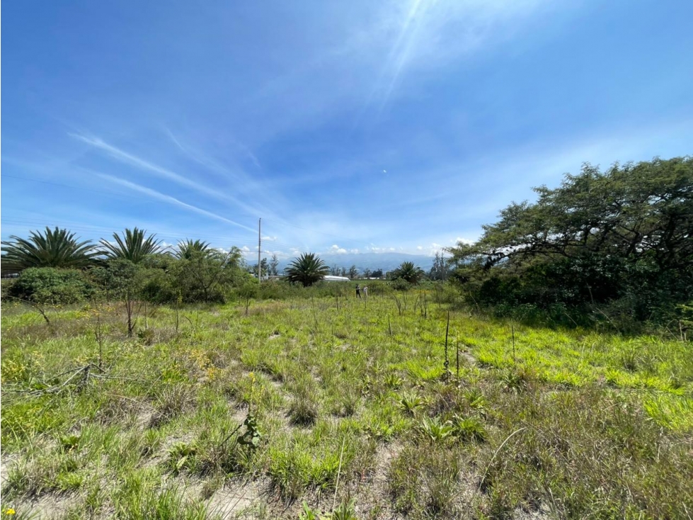 Puembo, Terreno en Venta, 1266,40m2 - 5