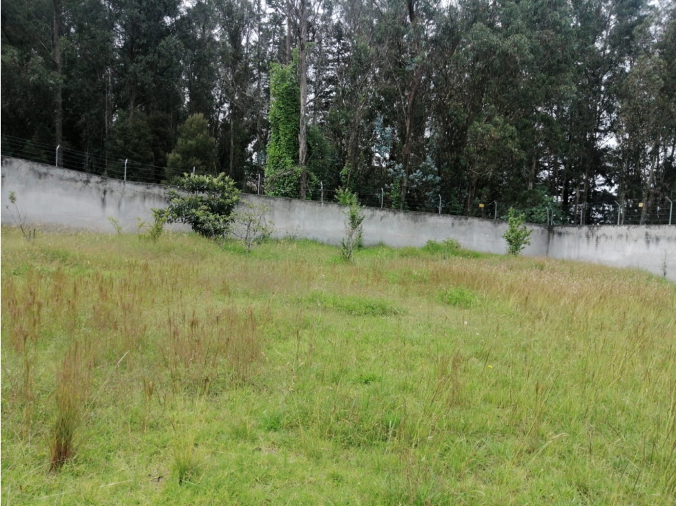 Conocoto, Terreno en Renta, 2.000m2 - 5