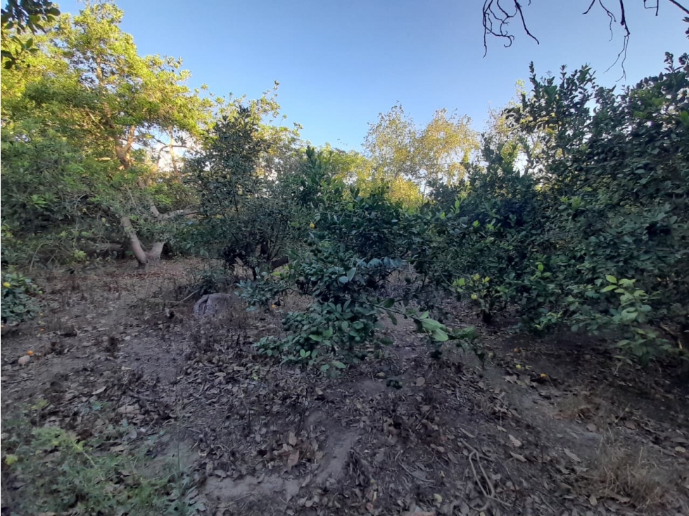Guayllabamba, Terreno de 2 Hectareas, 20000m2 - 5