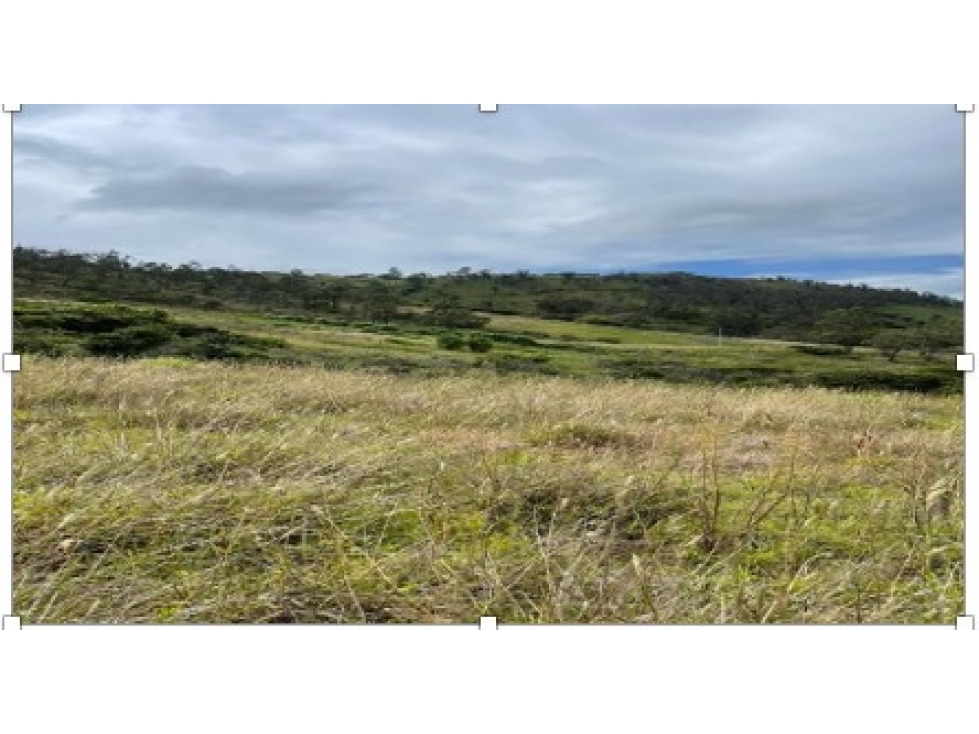 Loja ,parroquia Taquil Terreno en Venta, 5441 m2 Esquinero - 6