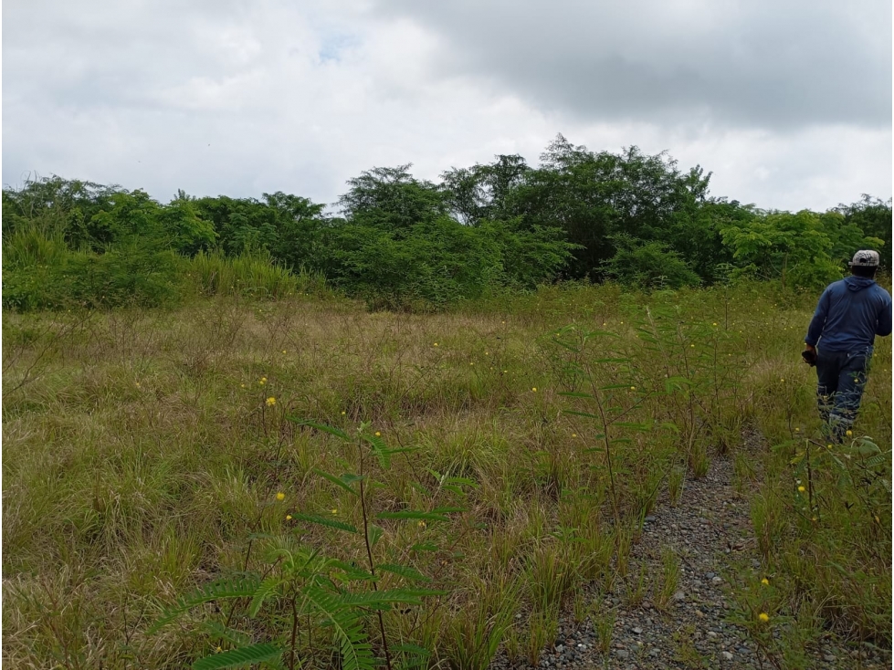 Esmeraldas Sector el Tigre, Terreno en Venta, 88.209,54 m2 - 5