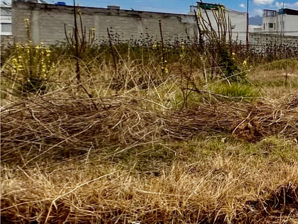 Calderón Marianitas , De Oportunidad Terreno en Venta, 667m2 - 6