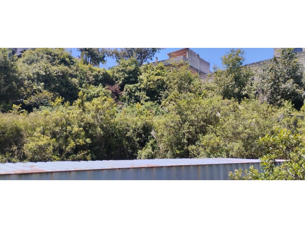 Sur Lulucoto, Terreno en Renta, 3.000m2 - 6