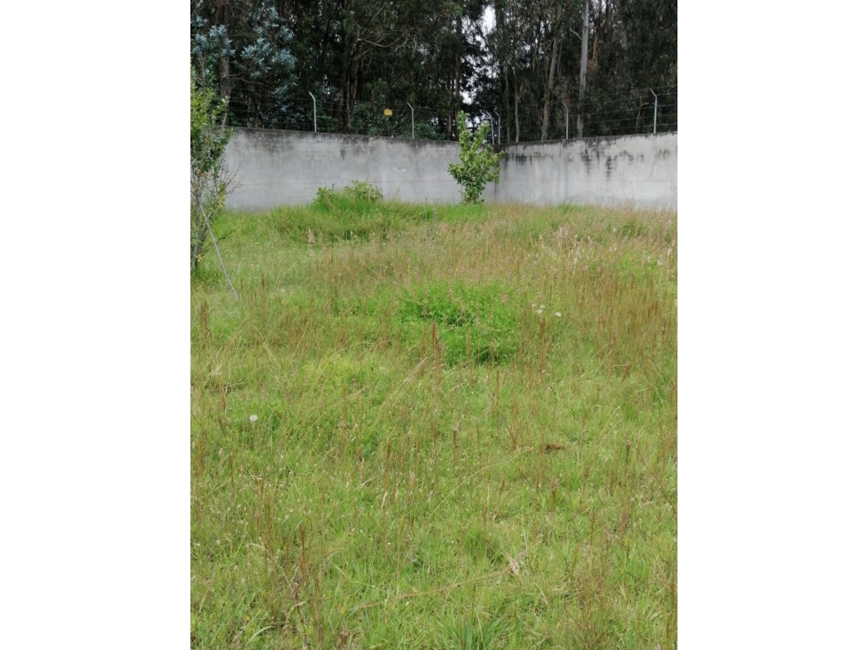 Conocoto, Terreno en Renta, 2.000m2 - 6