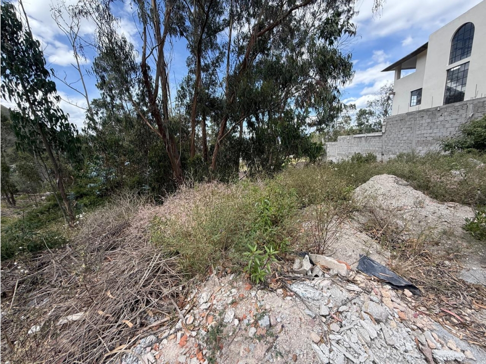 Mitad del Mundo, Terreno en Venta, 490m2, 3 Pisos