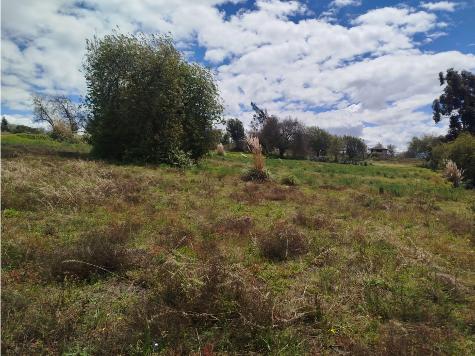 Loja,pindal Casa en Venta, 560m2, terreno 466m2 - 4