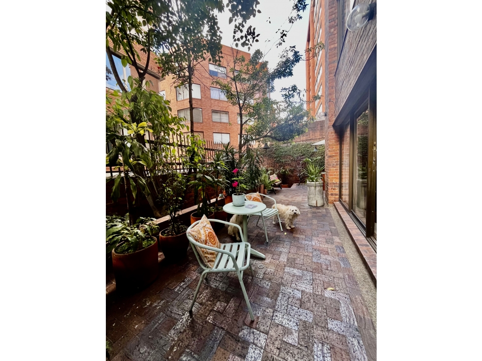 Cabrera, apartamento con hermosa terraza — foto 5