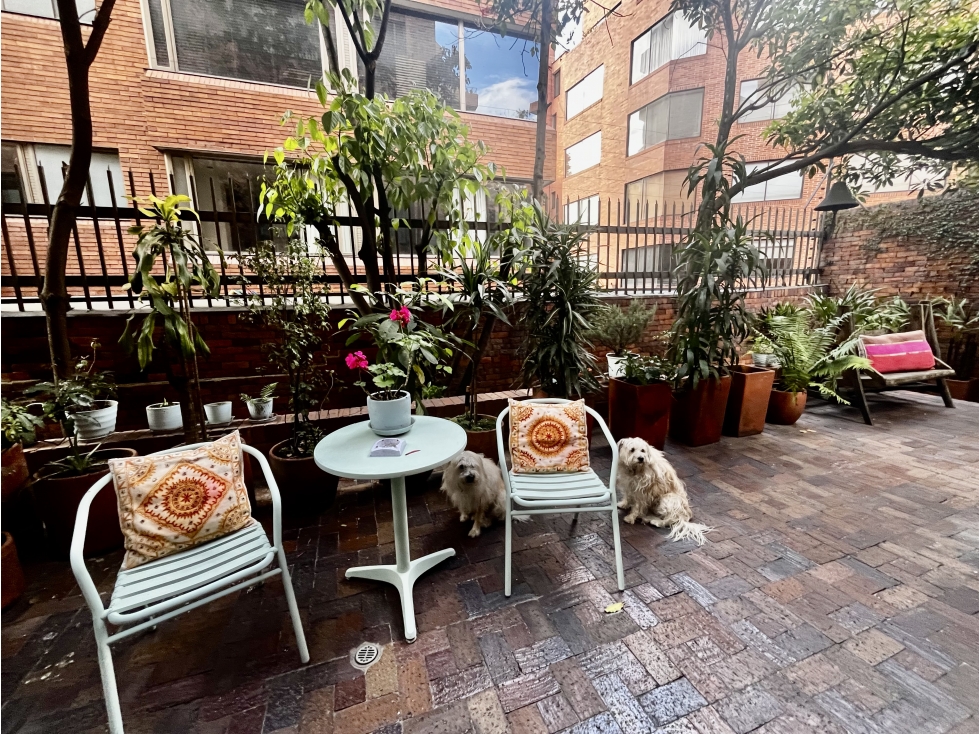 Cabrera, apartamento con hermosa terraza — foto 6