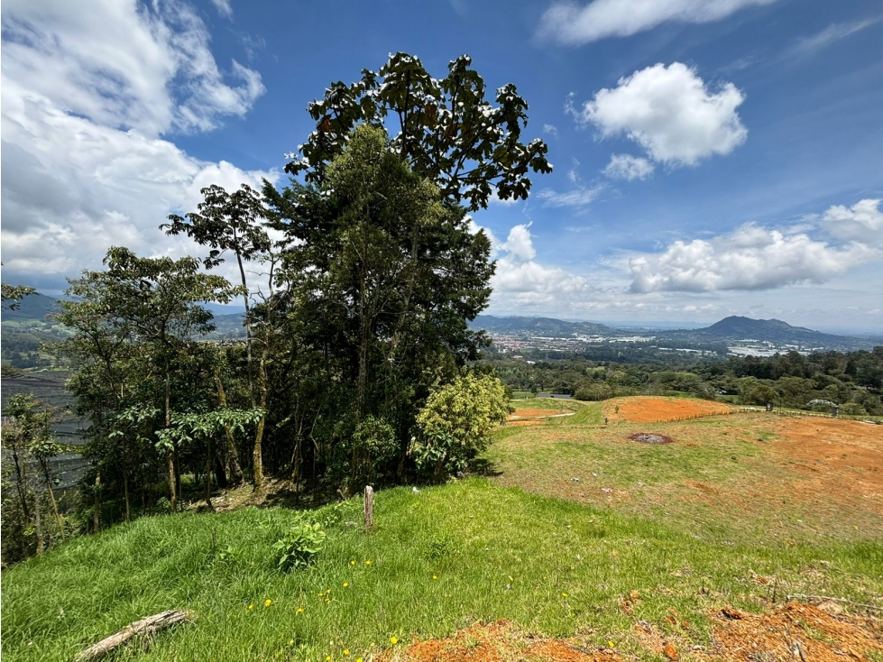 LOTE EN VENTA LA CEJA ANTIOQUIA SECTOR EL TAMBO