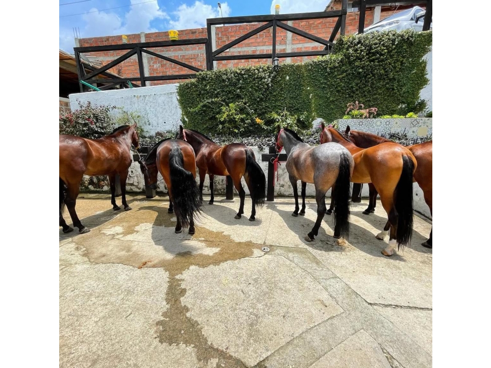 CASA FINCA EN VENTA LA ESTRELLA ANTIOQUIA - 3
