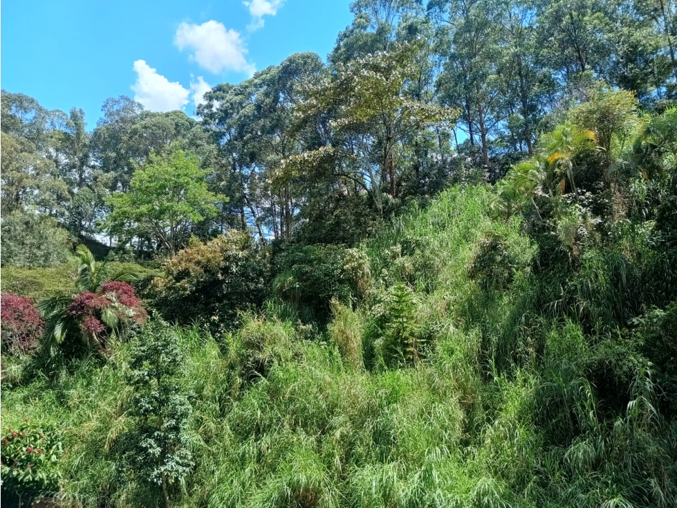 VENTA DE APARTAMENTO EN LAURELES CAMPESTRE- MEDELLIN — foto 3