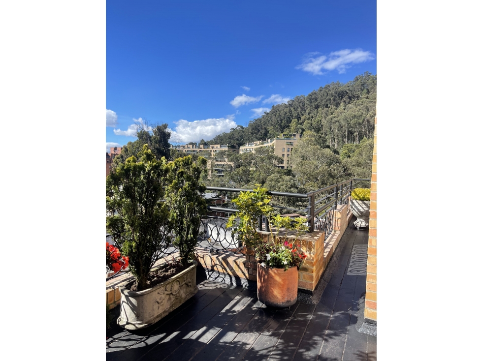 Arriendo en Bellavista con terraza - Rosales bajo — foto 5