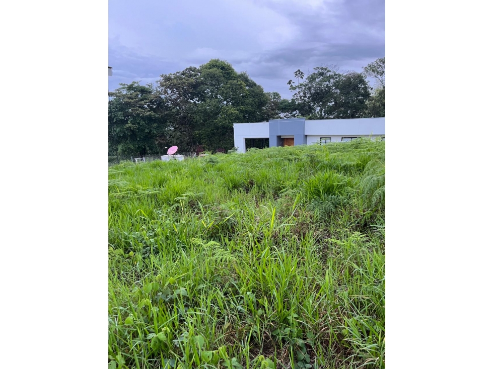 LOTE DENTRO DE CONDOMINIO CERRADO ZONA CIRCASIA - 2