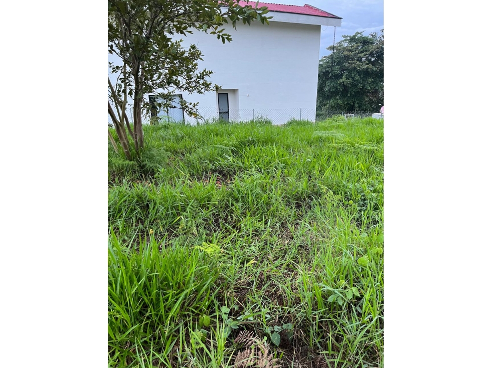 LOTE DENTRO DE CONDOMINIO CERRADO ZONA CIRCASIA - 3
